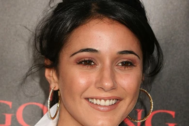 Emmanuelle Chriqui Wallpapers 02 – GotCeleb: Wallpapers