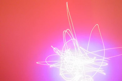 Awesome Exotic HD Wallpapers Free Download