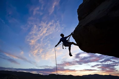 Courage Wallpapers Wallpapers Cave