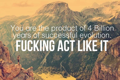 Didn't Like It On The Courage Wolf. Made A Wallpapers Out Of It ...