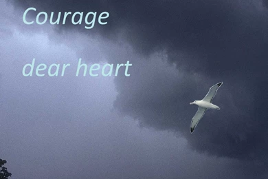 NarniaWeb Community Forums • View Topic Courage Dear Heart Wallpapers