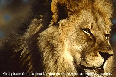 Courage Quotes Wallpaper Backgrounds Download • IPhones Wallpapers