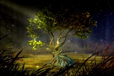 Animated Wallpapers Hd