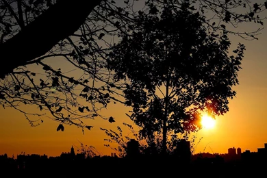 Summer Wallpapers — Free Full HD Wallpaper. Widescreen HQ Desktop ...