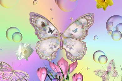 Free Spring Wallpapers And Screensavers   Wallpapers Cave