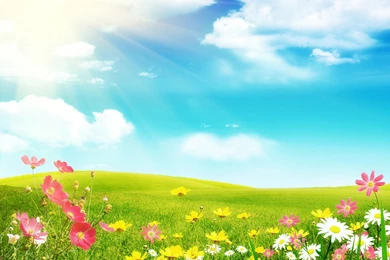 Free Springtime Wallpapers   Wallpapers Cave