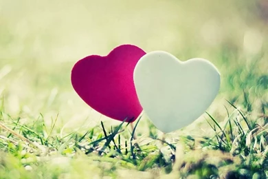 Romantic Love Wallpapers