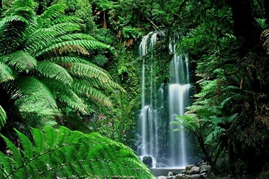 Top Breathtaking Waterfalls Wallpapers Wallpapers