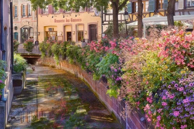 The Spring 1600x900 Wallpapers, 1600x900 Wallpapers & Pictures ...