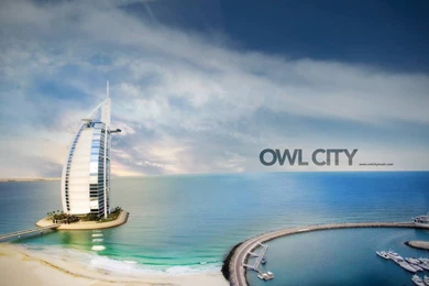 Owl City Beach 1440x900 Google Image Search Results Wallpapers ...