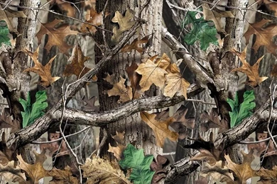 Pink Realtree Camo Desktop Backgrounds