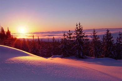 Winter Sunset Desktop Wallpapers