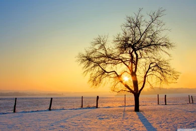 Winter Sunset HD Desktop Wallpapers : Widescreen : High Definition ...