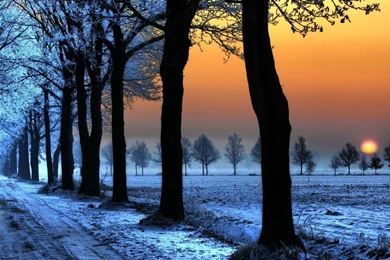 Winter Sunset Wallpapers Images Tbwnz.com