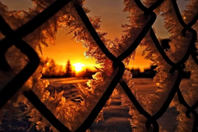 Frozen Winter Sunset Wallpapers