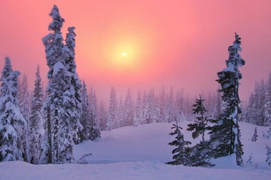 Winter Sunset Wallpapers