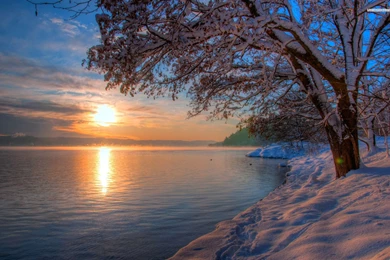 Sunset Over The Lake In The Winter, Snow, Tree, Sky, Cloud, Nature ...