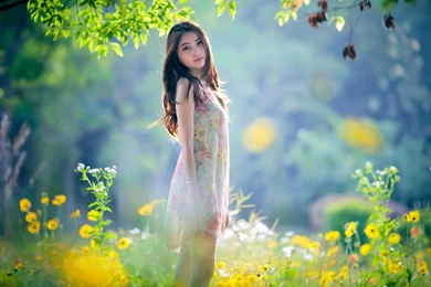 Category: Nature Gallery Wallpapers ›› Page 0