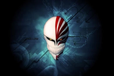 Skull Anime Bleach Wallpapers Hd