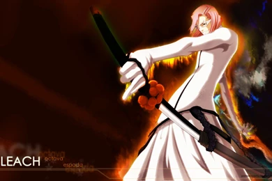 Bleach Wallpapers Hd ofhg 12853 Hd Pictures