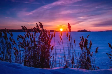 Download Wallpapers 3840x2160 Winter, Sunset, Snow, Grass 4K Ultra ...