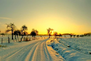 Winter Sunset Wallpapers