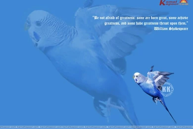 Famous Quotes Wallpaper. QuotesGram