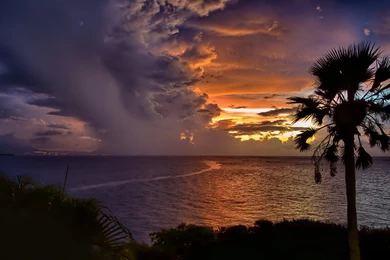 Bing Wallpapers HD   CuteWallpaper.org