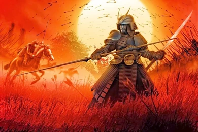 47 Ronin Samurai   Wallpaper.