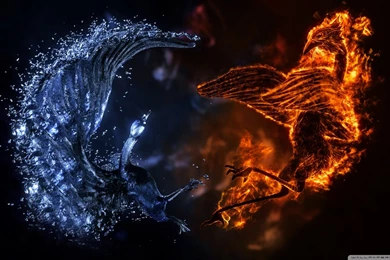 ELEMENTAL BIRDS HD Desktop Wallpapers : High Definition ...