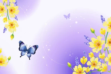 Wallpapers Butterfly