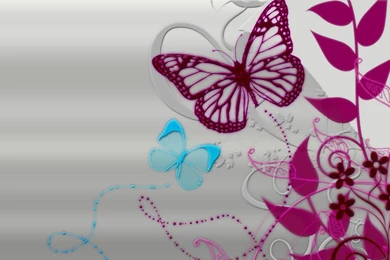Butterfly Wallpapers   Uwallo
