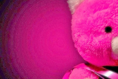 Free Download Cute Wallpapers   Wallpapers HD Wide