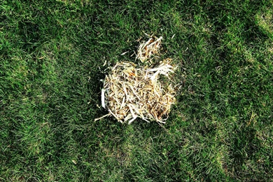 Mac HD Wallpaper: Apple Wallpapers Wide Apple New Perspectives ...