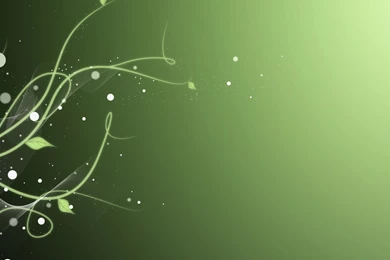 Vines Wallpapers 4620 2560 X 1440   WallpaperLayer.com