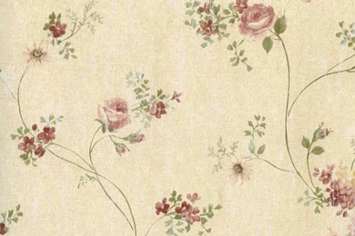 Tan Maroon CG97099 Virginia Vine Wallpapers   Interior Home Decor