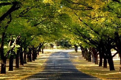 Full Hd Desktop Wallpapers For PC