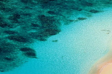 LG G5 Wallpapers] [QHD]