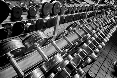 Gym Live Wallpapers   Android Apps And Tests   AndroidPIT