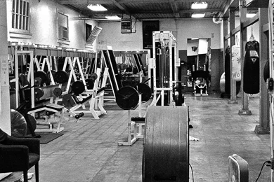 Gym Live Wallpapers   Android Apps And Tests   AndroidPIT