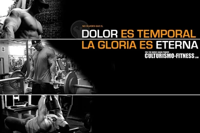 Wallpapers Gym Fitness De Culturismo Foros Ejercicios Rutinas With ...