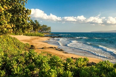 Polo Beach Maui Hawaii Paradise Isl Sea S Desktop Backgrounds ...