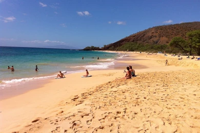 Maui Beach (id: 187573) – BUZZERG