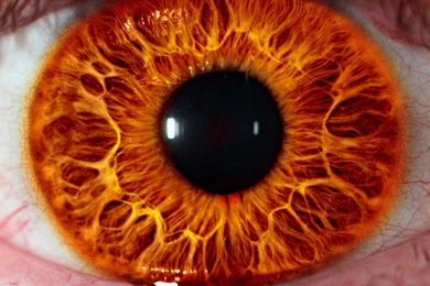 The Eye Of Sauron By ChooseCheese127 On DeviantArt