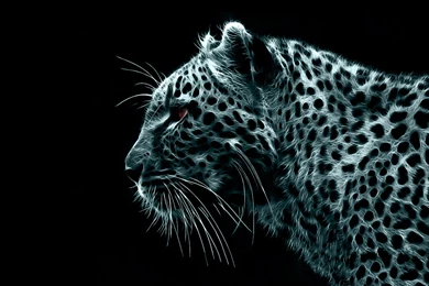 Black White Digital Leopards Leopard Gaze Art Shine