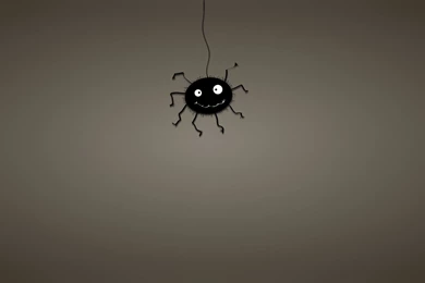 Spider Web Black Minimalism Art