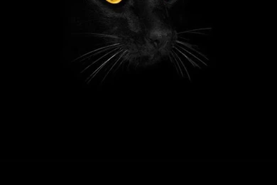 50 Dark Black Backgrounds