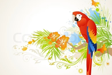 Vector Summer Backgrounds With Ornament And Parrot