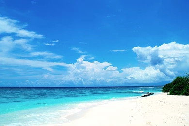 50 Impressive Nature Desktop Wallpapers