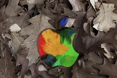 Apple In Leaves iPhone 5 Wallpapers Hd 640x1136 Iphone 5 Wallpapers ...